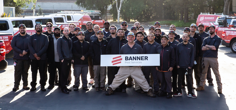Banner Team Photo